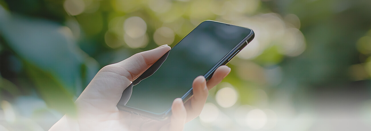 ページトップイメージ